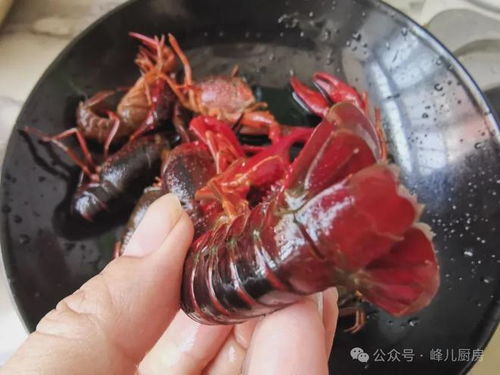 一個超級簡單的小龍蝦自制教程,讓你20元就能吃出68元的大餐味道