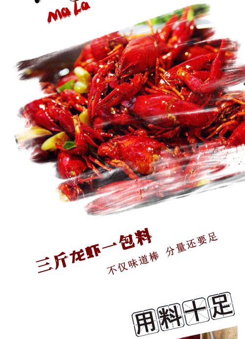 海底撈麻辣小龍蝦調(diào)味料200g 1袋 三斤龍蝦一包料 先麻后辣 一口一個停不下 包郵